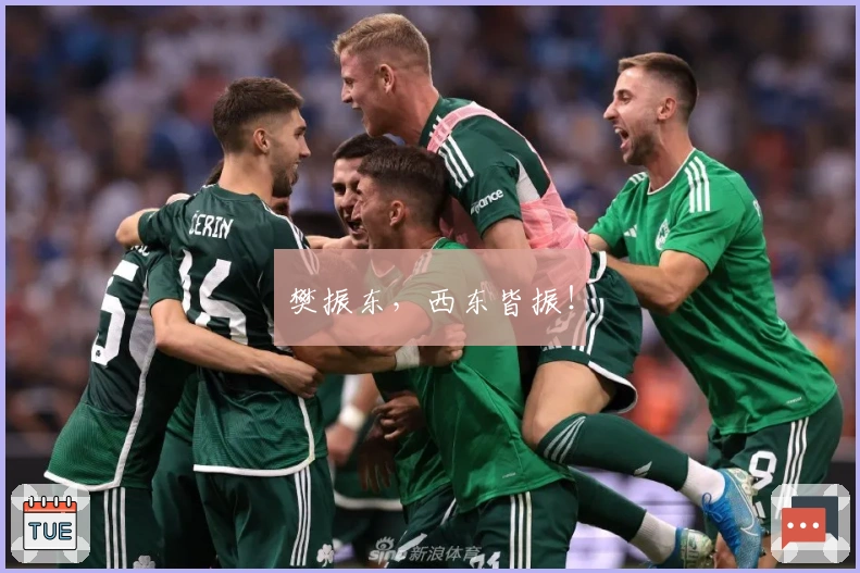 樊振东，西东皆振！