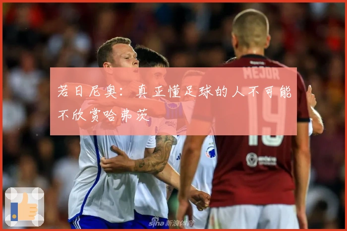 若日尼奥：真正懂足球的人不可能不欣赏哈弗茨