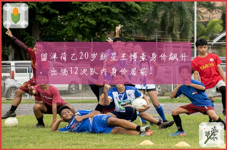 留洋荷乙20岁新星王博豪身价飙升，出场12次队内身价居前！