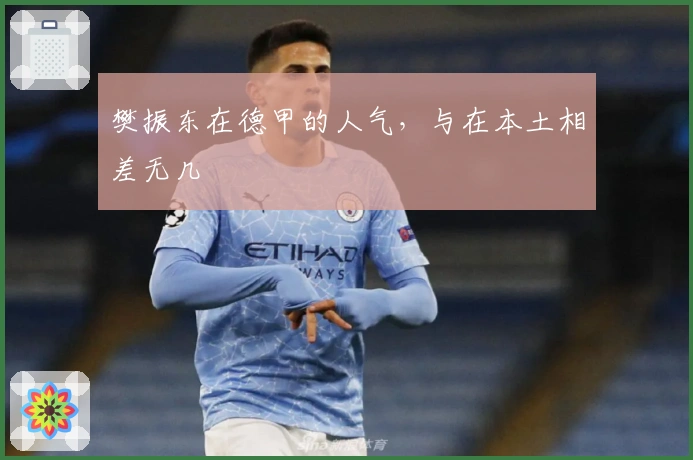 樊振东在德甲的人气，与在本土相差无几