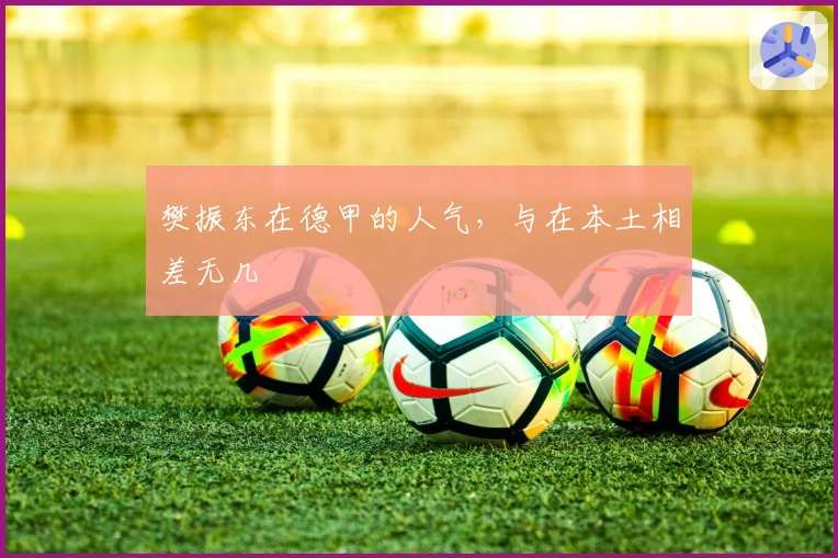 樊振东在德甲的人气，与在本土相差无几